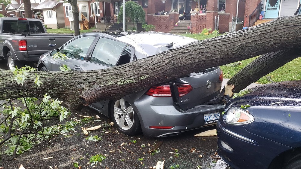 พายุเข้า ต้นไม้ล้มใส่รถ ประกันรับผิดชอบไหม │Smile Insure